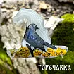 Молд силиконовый "Ведьмовский набор" (молд с линзой)