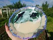 Молд силиконовый "2 акулы"