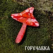 Молд силиконовый "Ведьмовский набор" (молд с линзой)