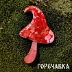 Молд силиконовый "Ведьмовский набор" (молд с линзой)
