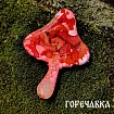 Молд силиконовый "Ведьмовский набор" (молд с линзой)