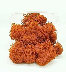 Мох (ягель) стабилизированный, 20 грамм Цвет оранжевый
