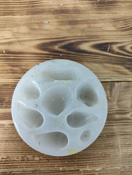 Молд силиконовый. Условия приобретения - в описании!